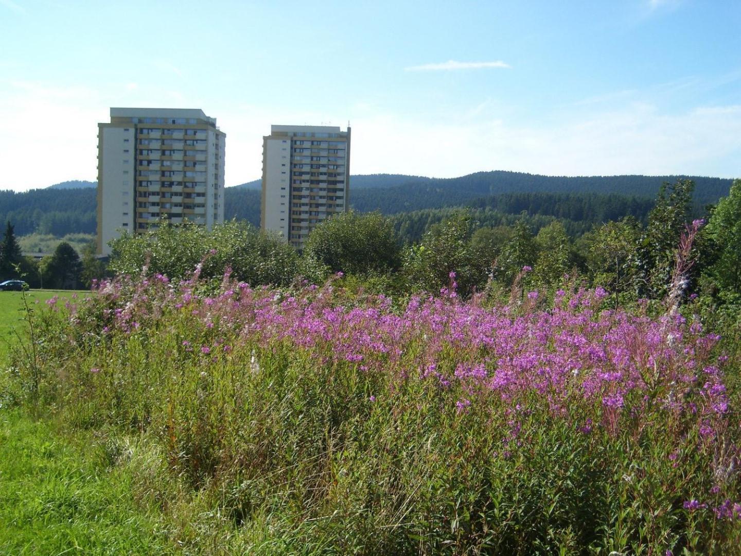 Neu! Fewo Panoramablick Hohegeiss Pool Und Sauna Exterior foto